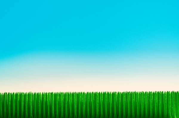 Photograph Jonathan Oakes Green Tees on One Eyeland